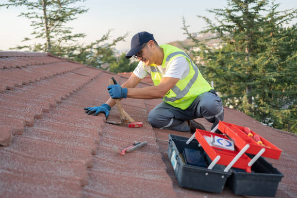 Best Roof Gutter Cleaning  in Hearne, TX